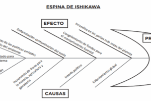 Espina de Ishikawa sobre los Problemas del Ecosistema